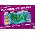 Electoral College Map 