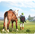 Zelda TV Show on Netflix