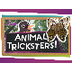 Animal Tricksters! - Mimicry
