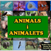 Animals i animalets
