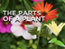 The Parts of a Plant (song for