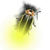 Kurzweil 3000 Firefly