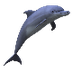 Mya - dolphin