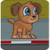 Puppy Adventure