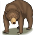 Bear Hunt