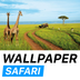 WallpaperSafari