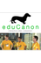 Interactive Video Lessons