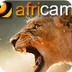 Africam | Tembe LIVE Channel -