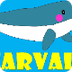 Narval - Animales del frío - A