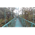 Hanging bridges in Costa Rica 