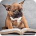 511's Favorite Books