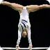 Gymnastics Skills Index