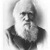 BBC - iWonder - Charles Darwin