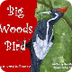 Ivory-billed Woodpecker news a