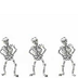 Skelet dance / skelet dans / g