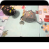 Tom & Jerry Bee-Bots