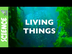Living and Non-Living Things |