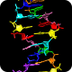 Hakimoji DNA&RNA