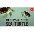 ALL ABOUT SEA TURTLES TED ED