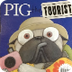 Pig the Tourist Read Aloud - Y