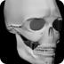 Bones Human 3D (anatomy) | app