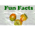 Plant Fun Facts