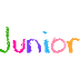 Junior Search Engine
