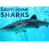 Learn about Sharks video