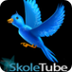 SkoleTube