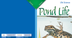 23 Pond Life 4.pdf - Goo
