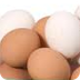 Eggs - Alike/ Different