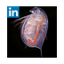Slideshare