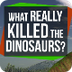 What Really Killed the Dinosau