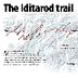 The Iditarod Trail