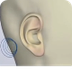 Fonctionnement de l'oreille
