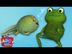 Frog Song (Life Cycle of a Frog) | CoCoMelon Nursery Rhymes & Kids Songs
