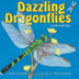 Dazzling Dragonflies