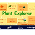 Plant Explorer