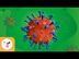 ¿Qué son los virus? - Ciencias