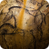 Text about Chauvet rock art