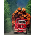 Logging Industry and History