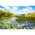 Parque nacional de los Evergla