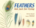 LA VT Feathers not just flying