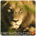 Earth-Touch