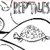 Reptiles Paint Game - Kid's Co