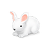 Hopposite Bunny