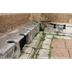 The Romans Taxed Pee