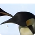 Los pinguinos para n
