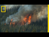 Wildfires 101 | National Geogr