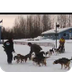 Iditarod 2012 - YouTube